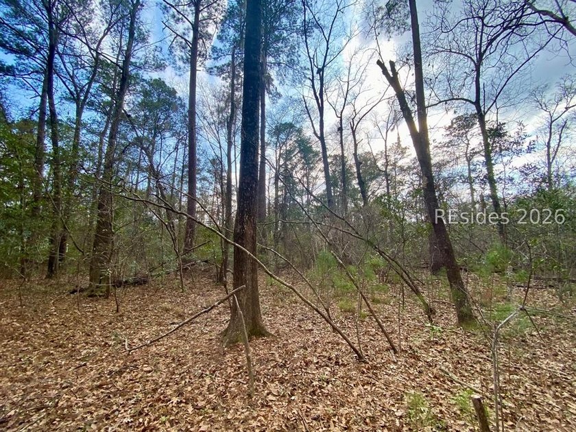 This 1.02 acre wooded lot has a rear lagoon view and is located - photo 12