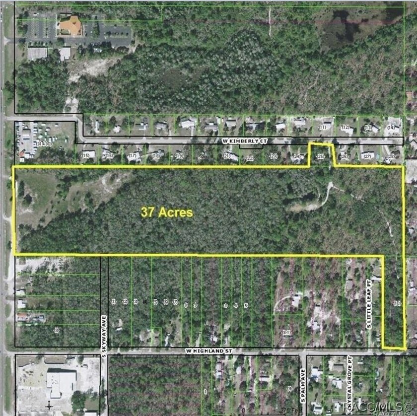 36.75 Acres 0n US Highway 19, Homosassa, FL. With 382 feet of - photo 2