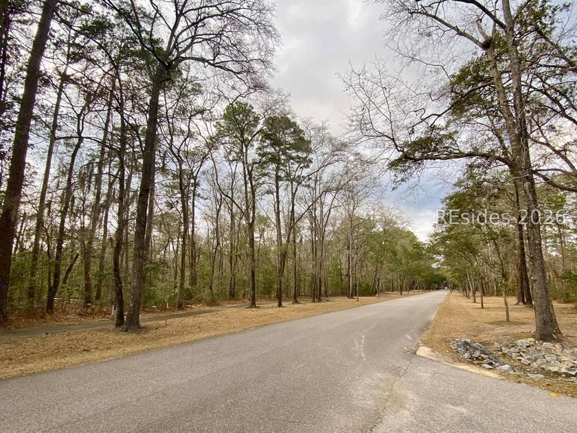 This 1.02 acre wooded lot has a rear lagoon view and is located - photo 22
