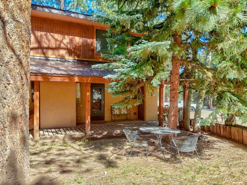 Completely updated and meticulously remodeled from top to bottom - photo 41