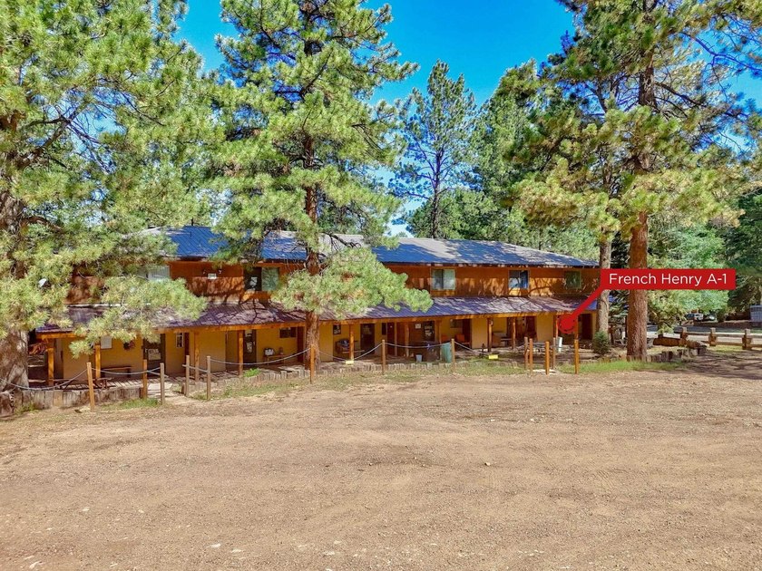 Completely updated and meticulously remodeled from top to bottom - photo 42