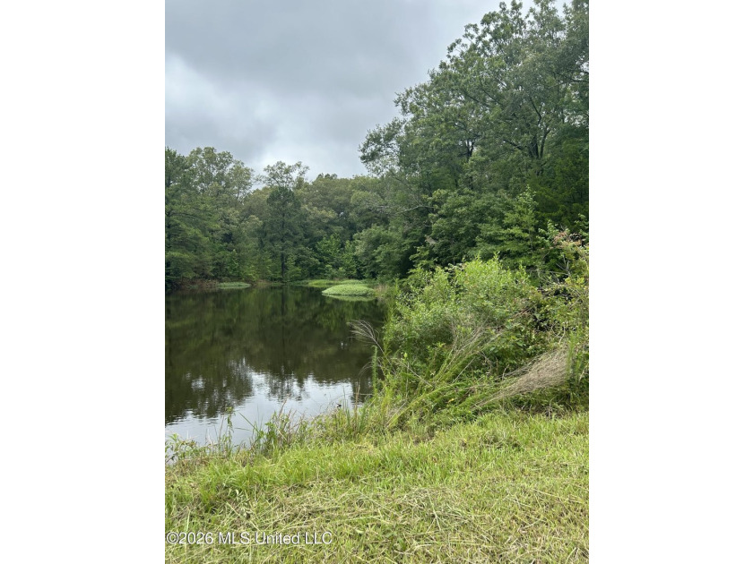 This is the one!!!! With 31 beautiful acres that is partially - photo 4