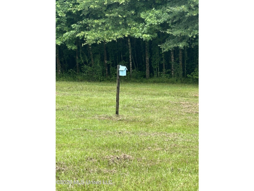 This is the one!!!! With 31 beautiful acres that is partially - photo 8