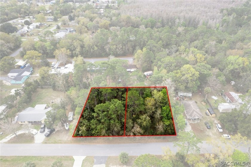 Two buildable lots for the price of one, with the option to - photo 5