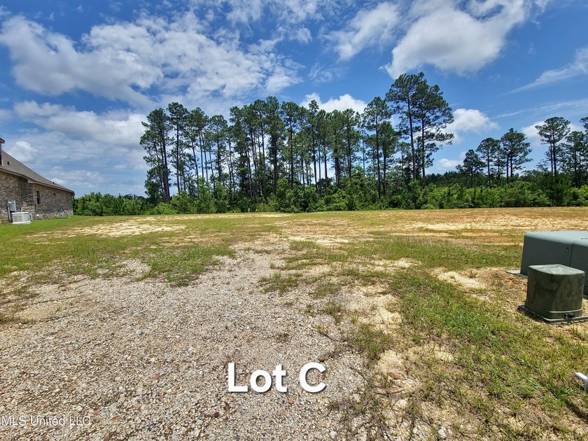 Build Your Dream Home in Hidden Springs - Limited Lots - photo 4