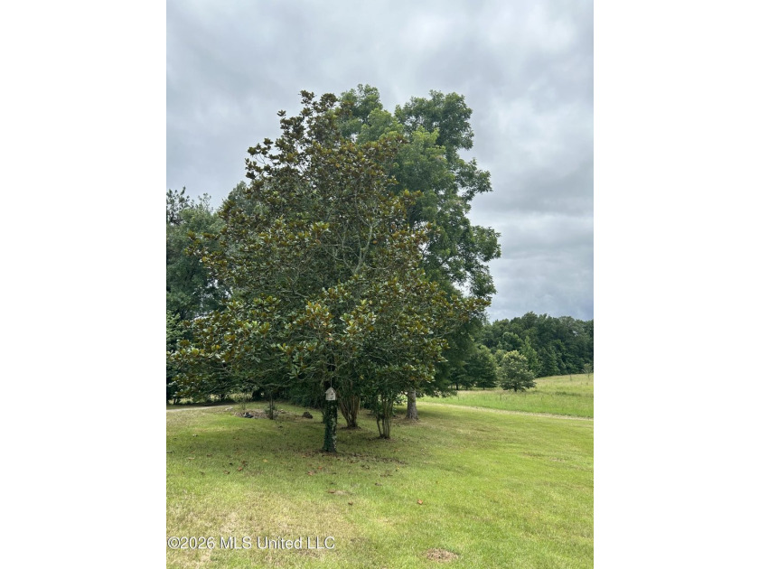 Perfect get away! 31 acres of fun for you. Hunting or fish in - photo 4