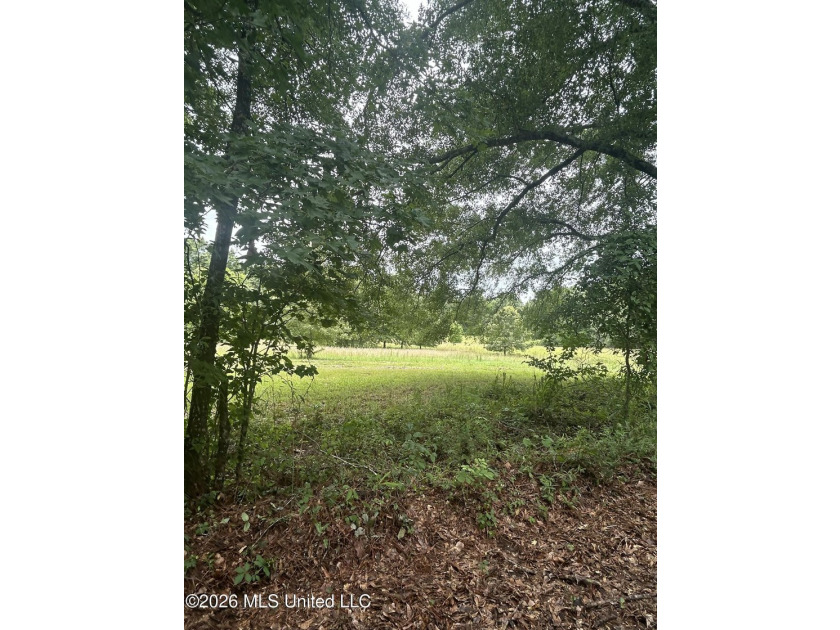 Perfect get away! 31 acres of fun for you. Hunting or fish in - photo 8