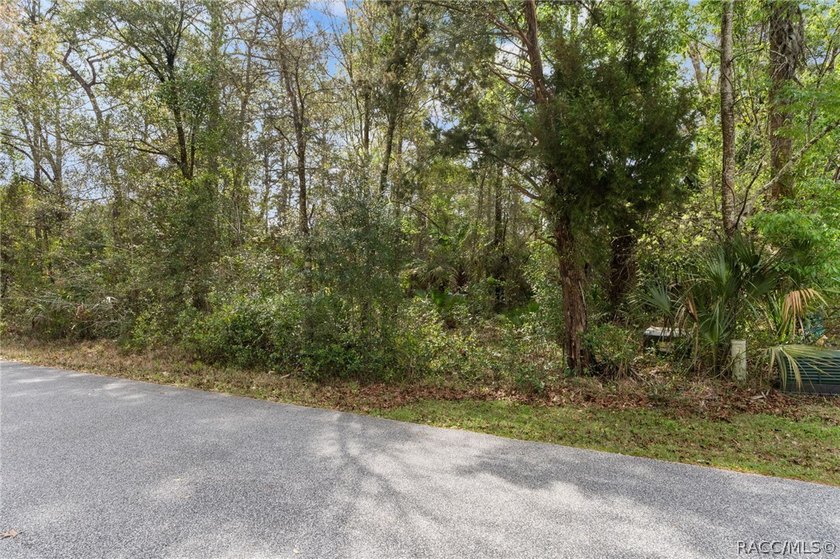 Two buildable lots for the price of one, with the option to - photo 3