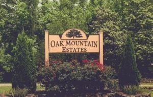 OWNER FINANCING WITH 25% DOWN. 0.65 Acre buildable lot in Oak - photo 13
