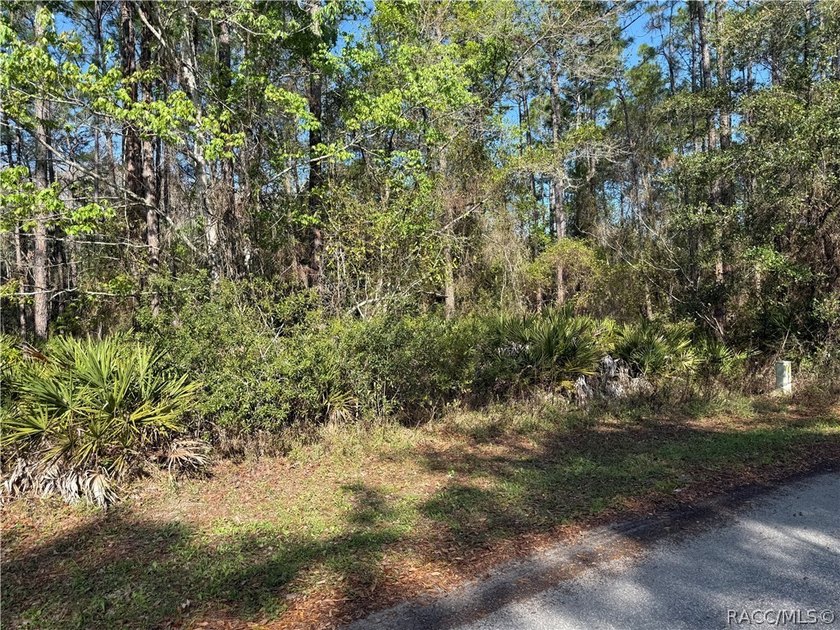 Beautiful 0.27-acre estate-sized lot located on a quiet - photo 2