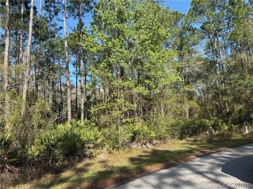 Beautiful 0.27-acre estate-sized lot located on a quiet - photo 4