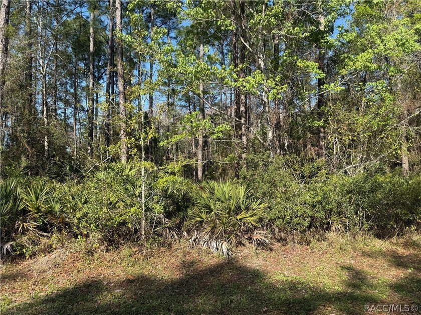 Beautiful 0.27-acre estate-sized lot located on a quiet - photo 5