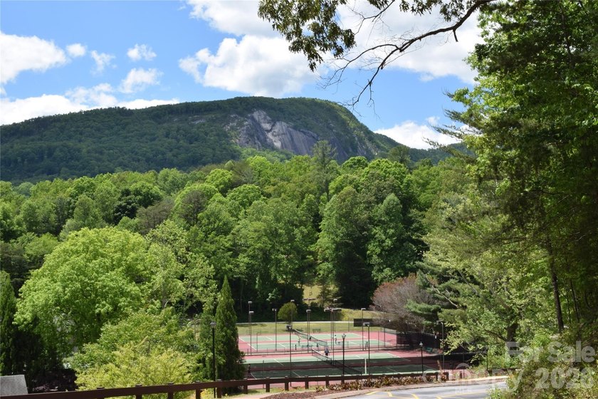LOCATION &amp; MOUNTAIN VIEWS! GREAT UP-CLOSE VIEWS of YOUNG's - photo 13