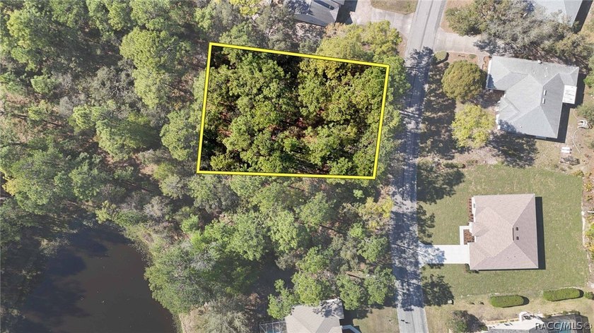 Build your dream home on this beautiful vacant lot in Sugar Mill - photo 2