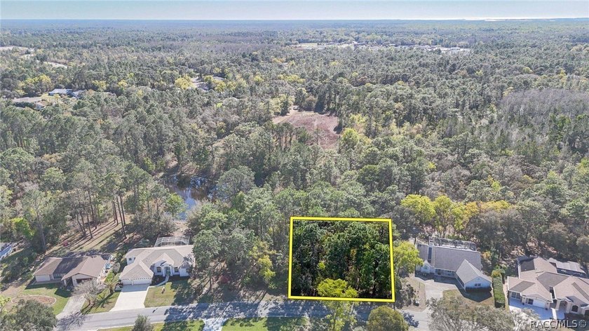 Build your dream home on this beautiful vacant lot in Sugar Mill - photo 3
