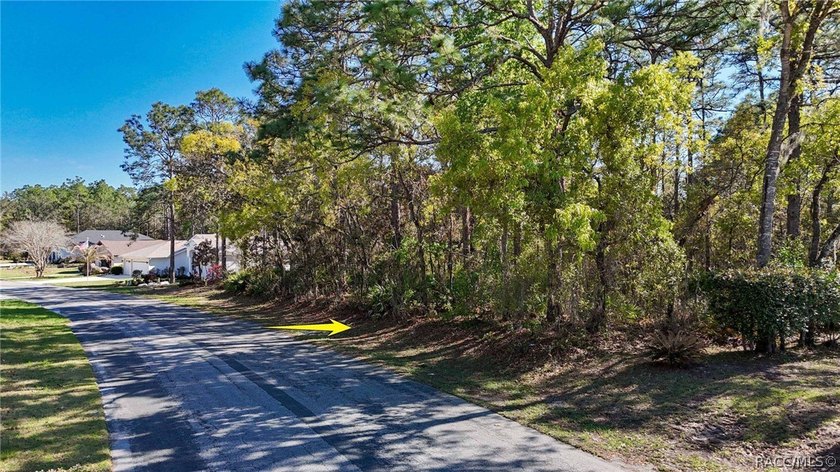 Build your dream home on this beautiful vacant lot in Sugar Mill - photo 4