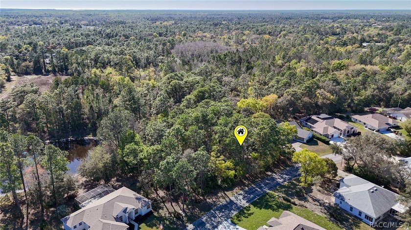 Build your dream home on this beautiful vacant lot in Sugar Mill - photo 7