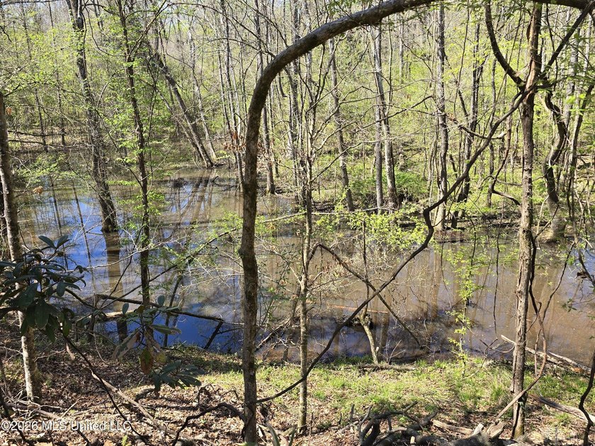 Hunting Cabin on 63 Acres in Franklin County, Mississippi - photo 11