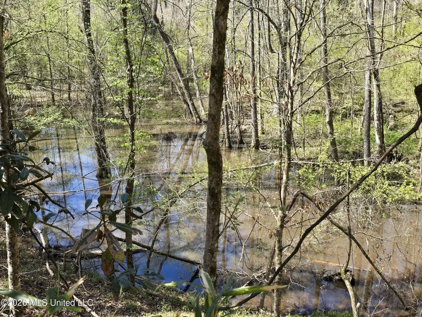 Hunting Cabin on 63 Acres in Franklin County, Mississippi - photo 12
