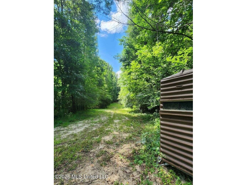 Hunting Cabin on 63 Acres in Franklin County, Mississippi - photo 26