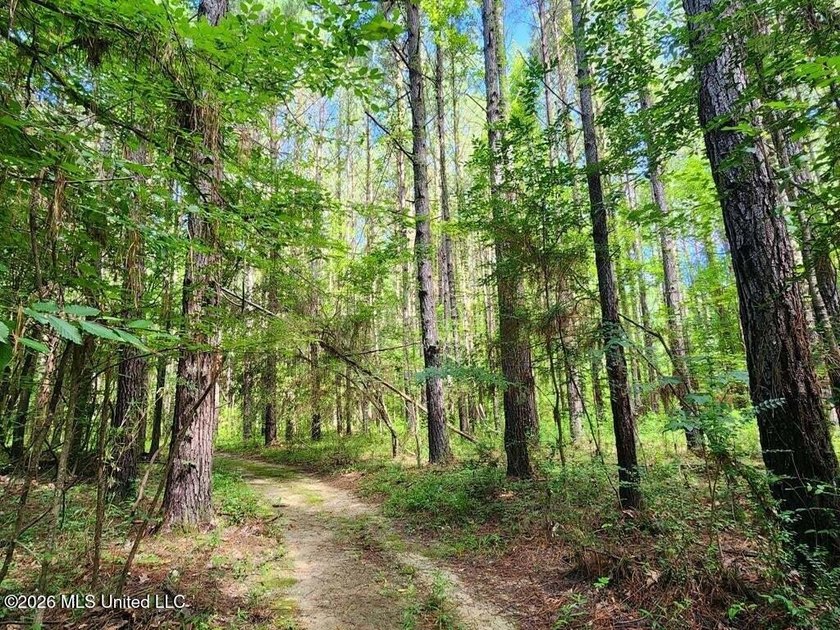 Hunting Cabin on 63 Acres in Franklin County, Mississippi - photo 29