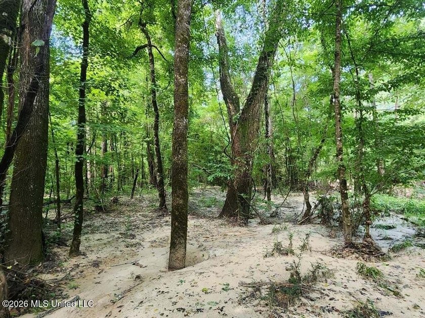 Hunting Cabin on 63 Acres in Franklin County, Mississippi - photo 30