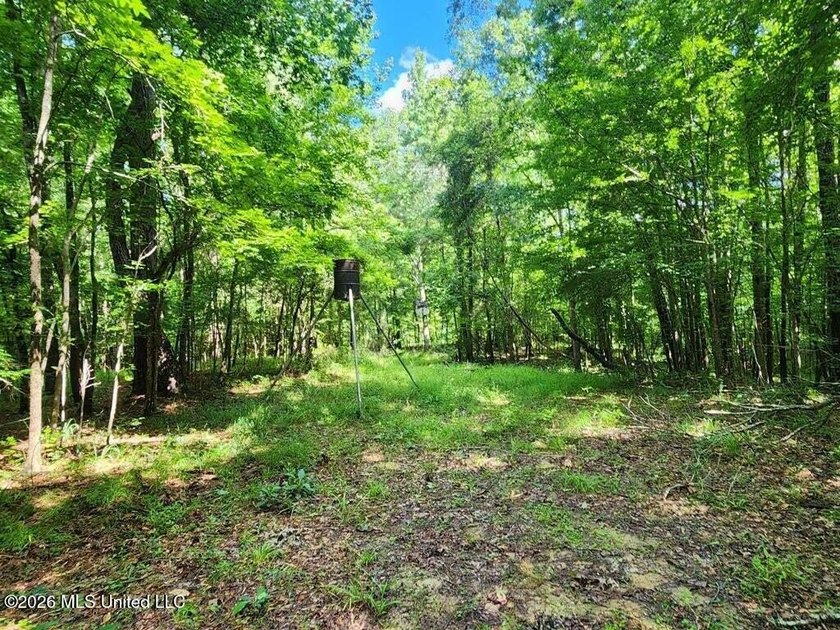 Hunting Cabin on 63 Acres in Franklin County, Mississippi - photo 32