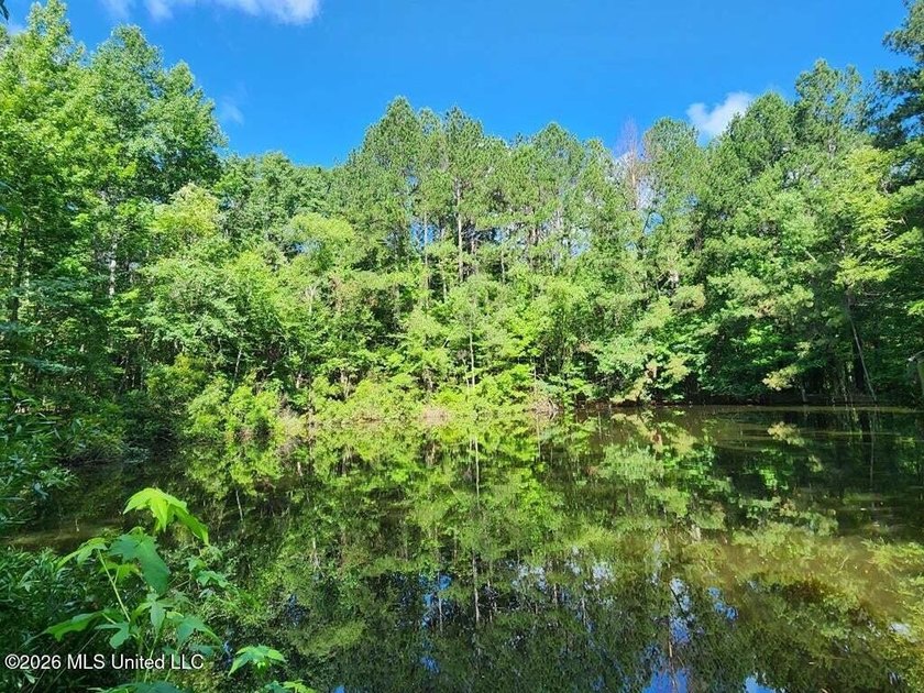 Hunting Cabin on 63 Acres in Franklin County, Mississippi - photo 43
