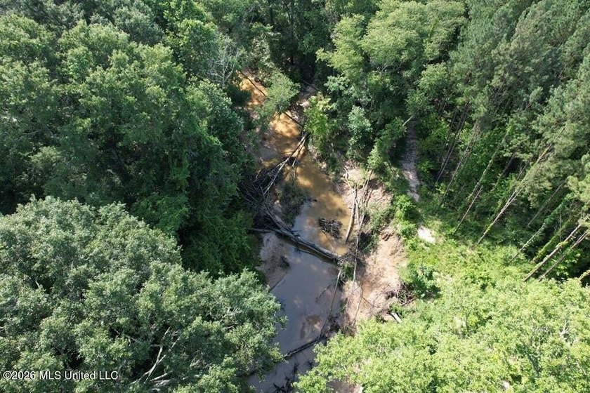 Hunting Cabin on 63 Acres in Franklin County, Mississippi - photo 46