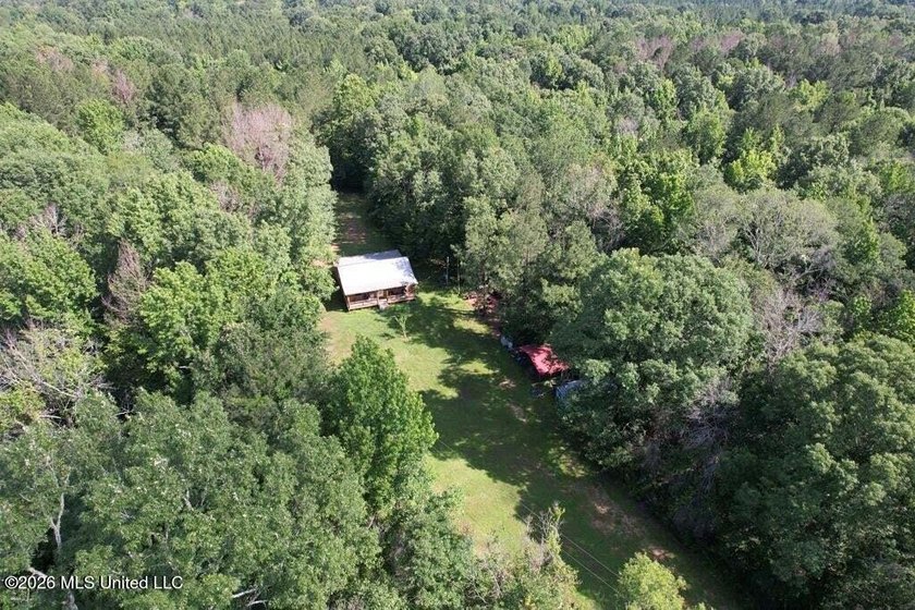 Hunting Cabin on 63 Acres in Franklin County, Mississippi - photo 47
