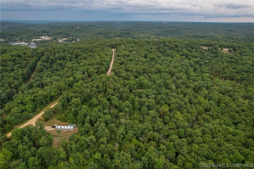 7.24 Acres in English Gardens offering lake access via boat ramp - photo 11