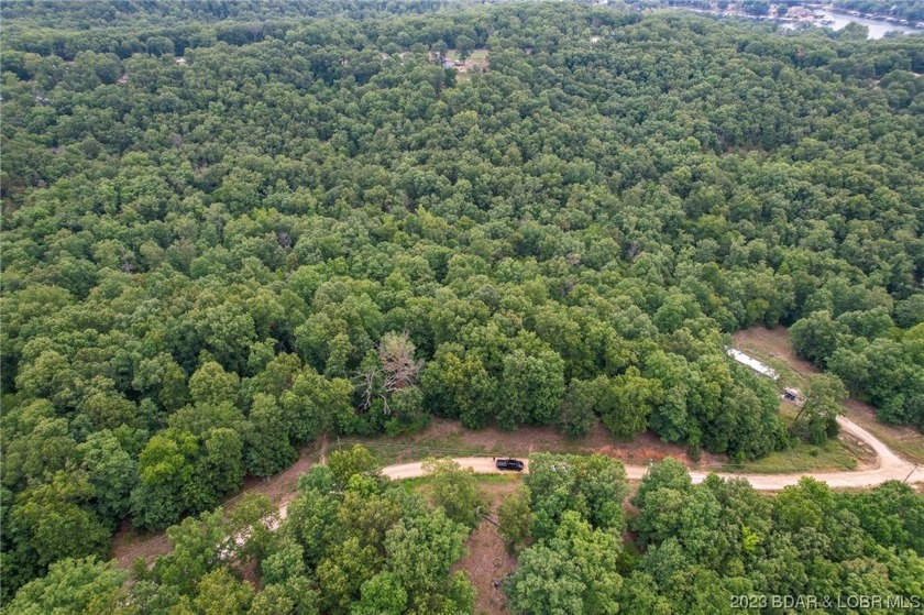 7.24 Acres in English Gardens offering lake access via boat ramp - photo 14