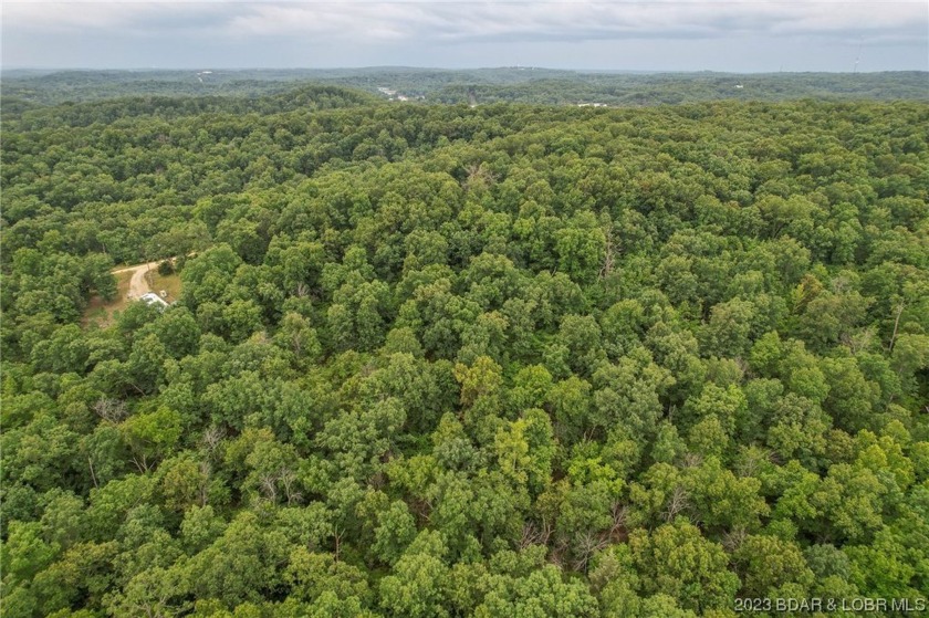 7.24 Acres in English Gardens offering lake access via boat ramp - photo 20