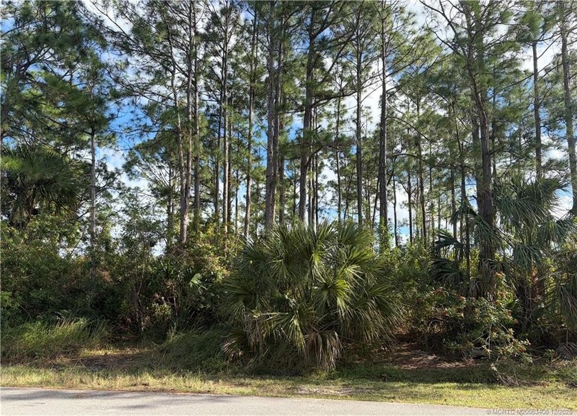 Build your Florida dream on this spacious 0.23-acre residential - photo 2