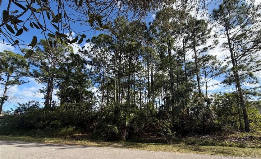 Build your Florida dream on this spacious 0.23-acre residential - photo 3