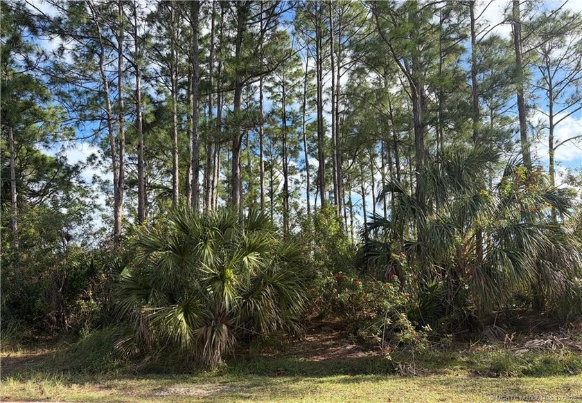 Build your Florida dream on this spacious 0.23-acre residential - photo 4