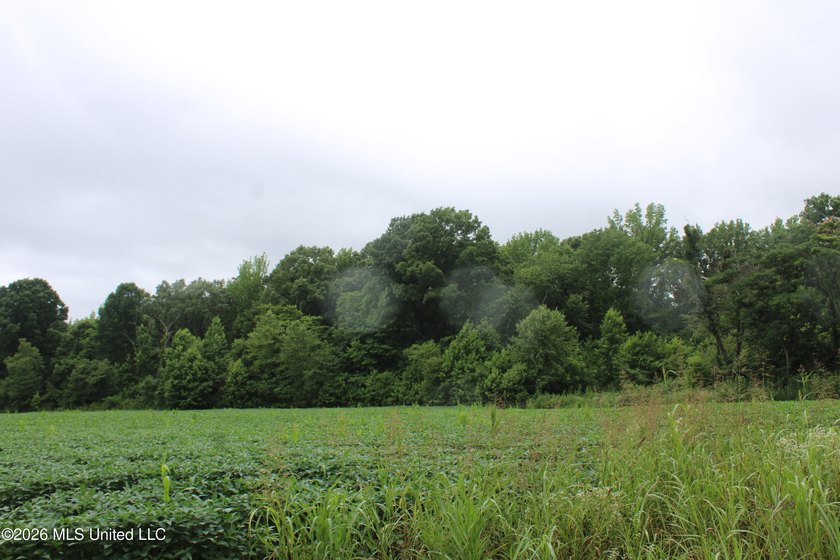 38.9 acres of vacant land located on Allen Corner Road in Benton - photo 3