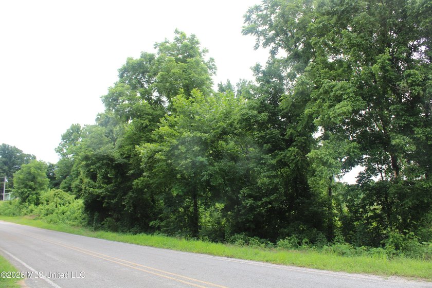 38.9 acres of vacant land located on Allen Corner Road in Benton - photo 5