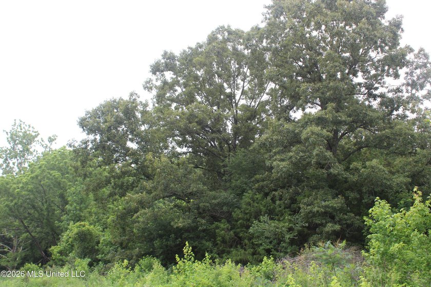38.9 acres of vacant land located on Allen Corner Road in Benton - photo 7