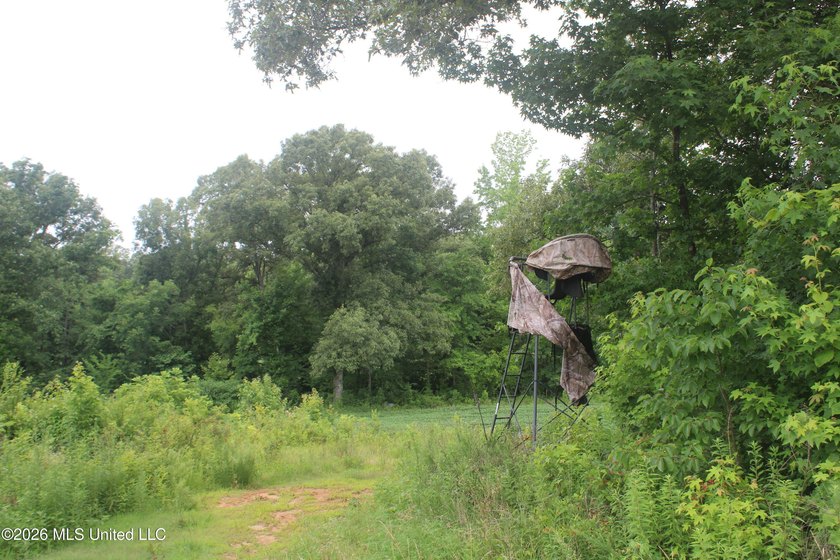 38.9 acres of vacant land located on Allen Corner Road in Benton - photo 8
