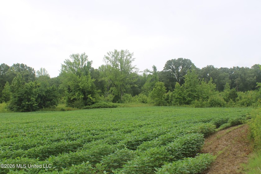 38.9 acres of vacant land located on Allen Corner Road in Benton - photo 10