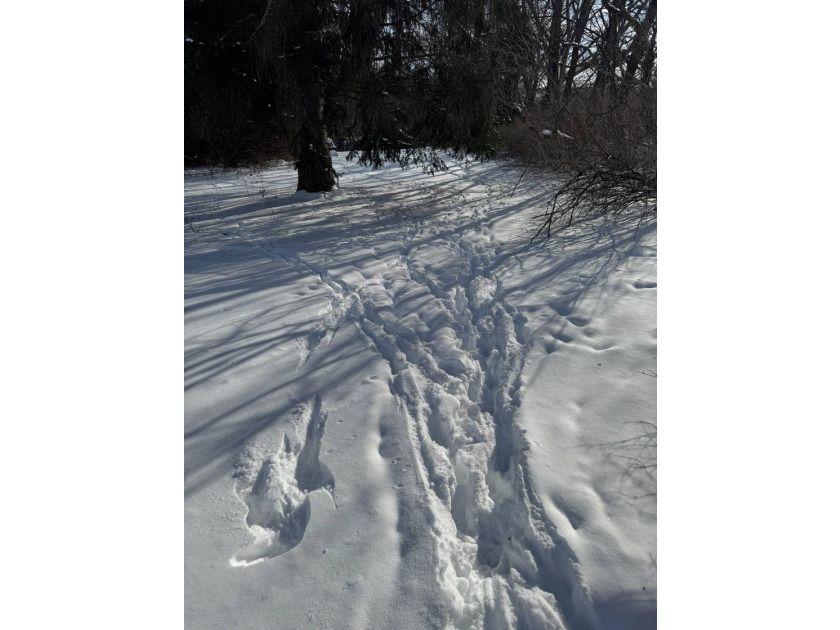 Whether looking for a building lot for your future home, a - photo 10