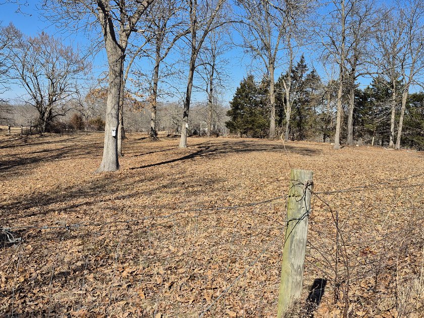 This small home with 4.45 acres is located in a great location - photo 10