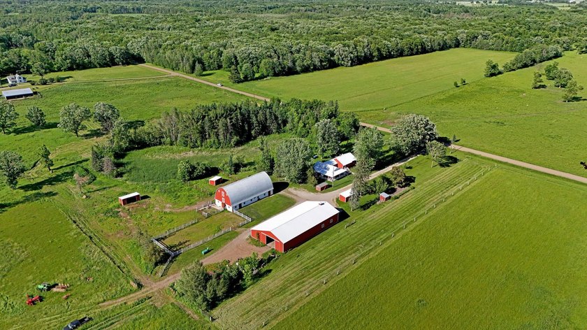 Classic Hobby Farm &amp; Equestrian Property on Beautiful - photo 16