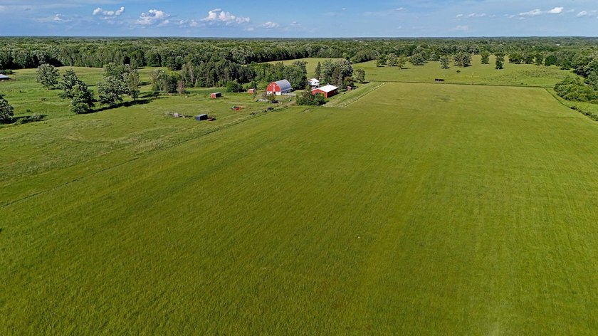 Classic Hobby Farm &amp; Equestrian Property on Beautiful - photo 23