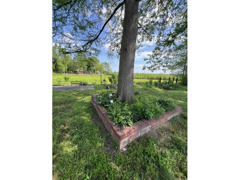 Lakefront fixer-upper with incredible potential! Prime location - photo 17