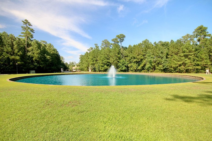 Welcome to 437 Coral Harbor Drive in the highly sought-after - photo 44