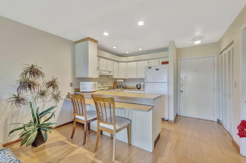 GREAT INCOME PRODUCING PROPERTY! MIN RENTAL 7 NIGHTS. This - photo 9