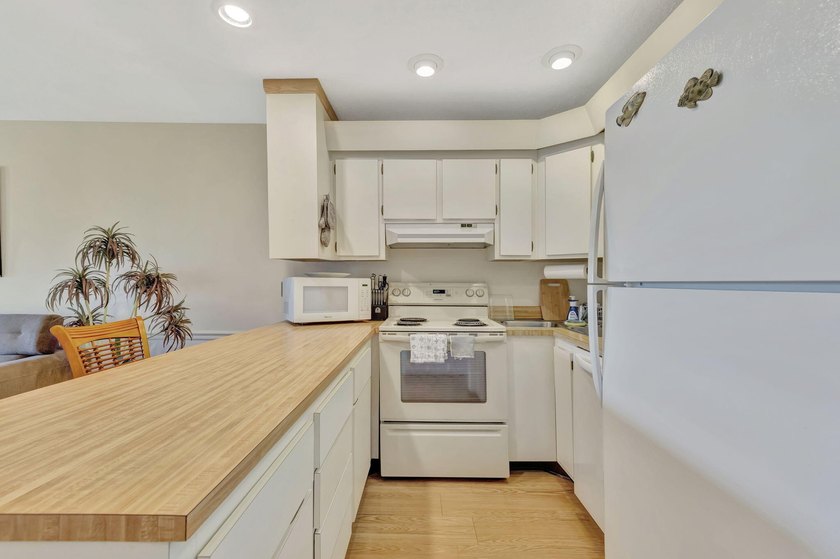 GREAT INCOME PRODUCING PROPERTY! MIN RENTAL 7 NIGHTS. This - photo 10
