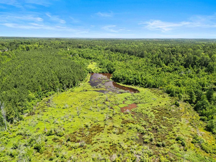 Escape to the peace and privacy of this stunning 29.16-acre - photo 4